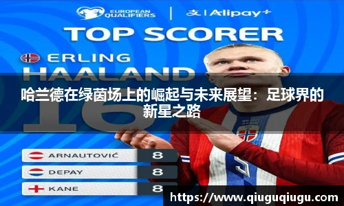 VSport哈兰德在绿茵场上的崛起与未来展望：足球界的新星之路